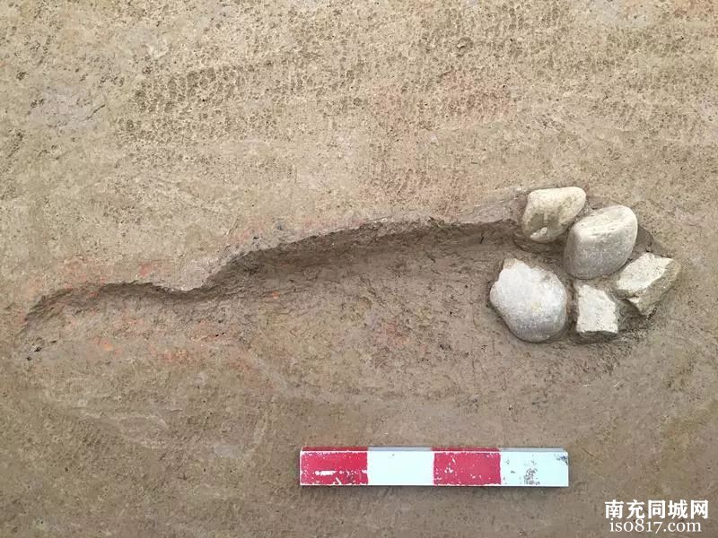 嘉陵江下游发现距今5000年前新石器时代遗址——合川吊嘴遗址考古重要收获-y5.jpg