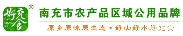 连接高坪与顺庆！这所大桥预计12月底实现试通车-2.jpg