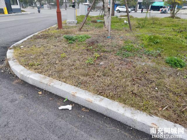 蓬安锦屏镇农贸市场附近出现了停车场，群众们停放车辆更加便捷了-7.jpg