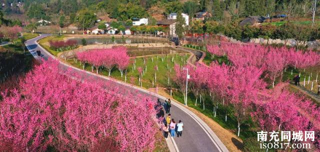 到西充 过大年 | 西充春节“四好宝典”等你来→-5.jpg