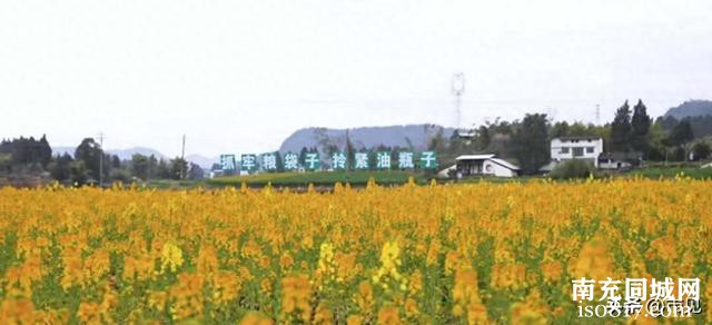 仪陇县“食安护航”油菜花节，守护游客“舌尖上的春天”-1.jpg