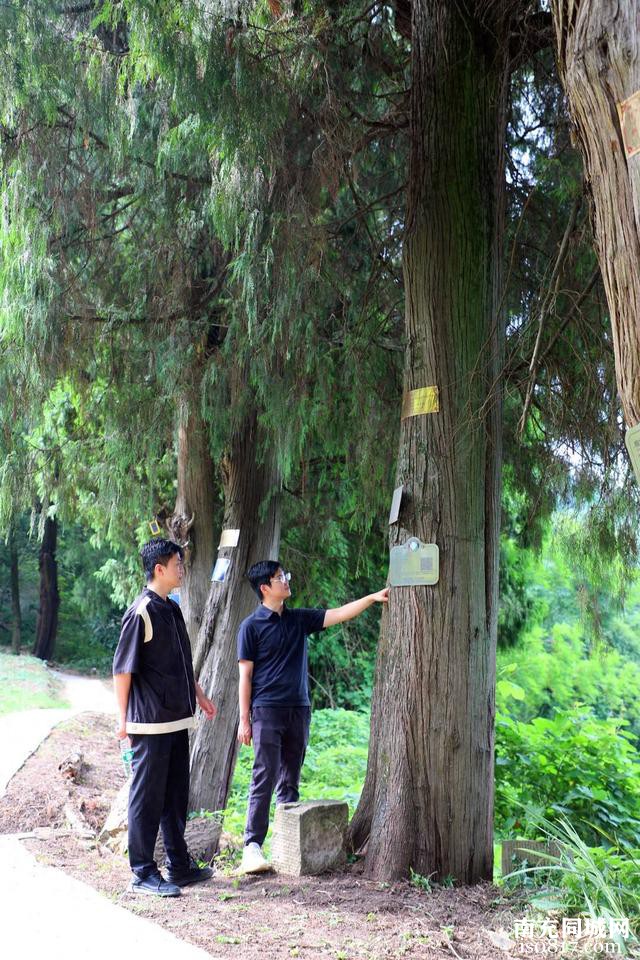 一树一证一档，四川西充城乡一体化让196株古树名木有了“身份证”丨扬帆奋进30年㉒-1.jpg