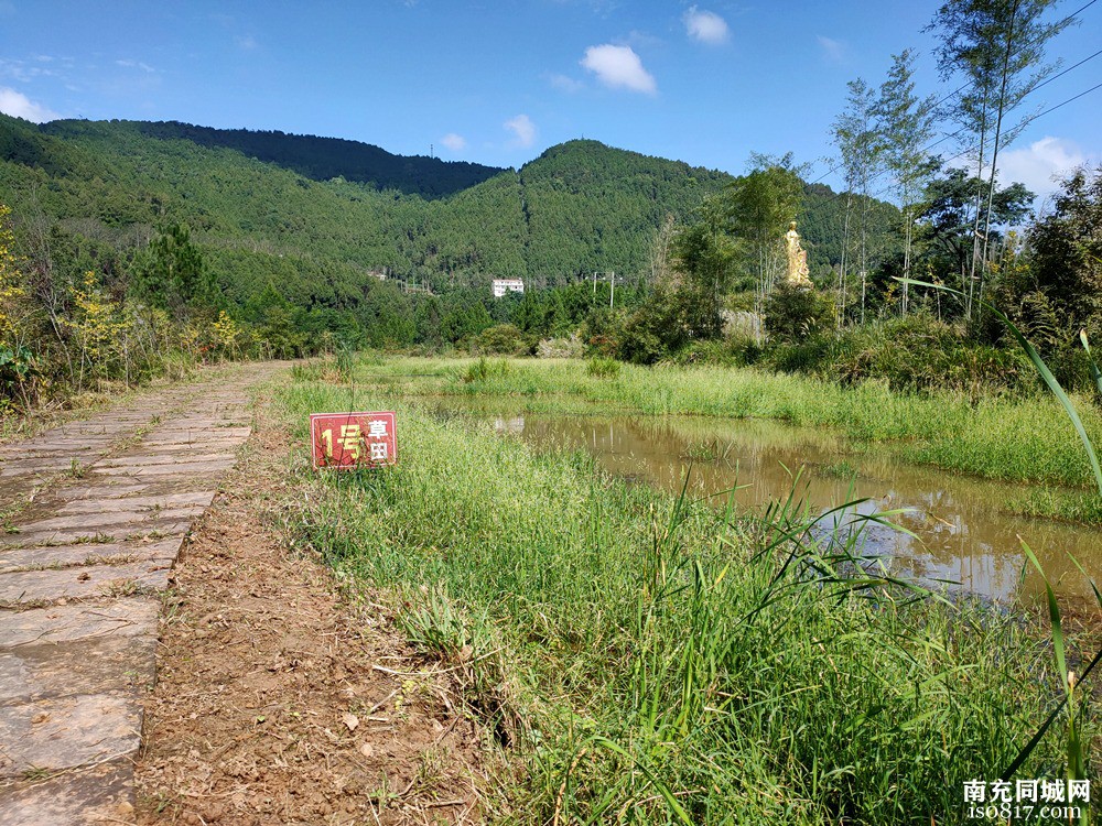 南充：南部一个小山谷，有山有水的世外桃源，真好玩！-y10.jpg