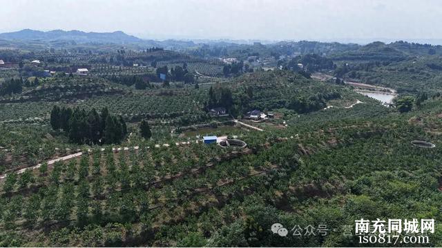 营山县打造宜居宜业和美乡村新样板 一村一品促增收 环境宜居展新颜-1.jpg