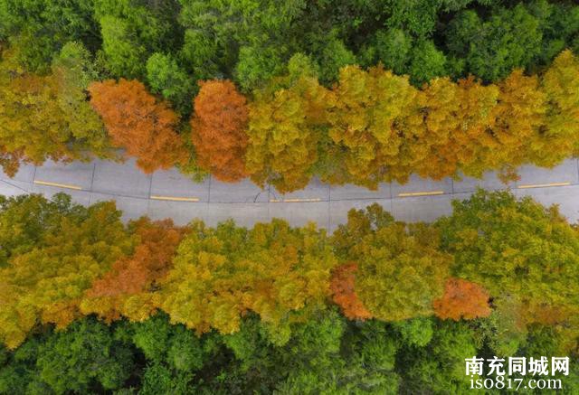 气温将低至个位数！南充降温又降雨来了——-8.jpg