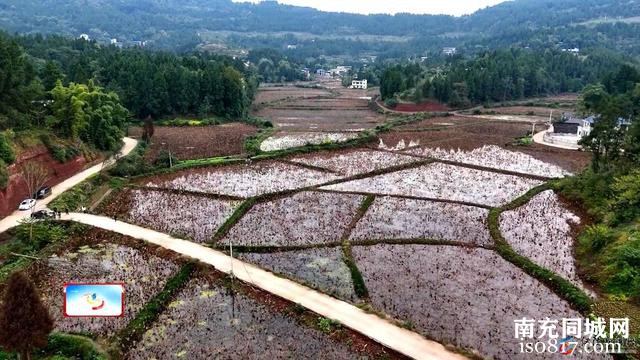 做强特色家庭农场 打造乡村振兴“新引擎”-10.jpg