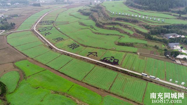 在哪种、谁来种、种什么？四川南充这样打造“天府粮仓”丘区样板-3.jpg