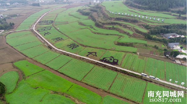 南充市扎实推进“九县百片”建设 奋力打造“天府粮仓”丘区样板-3.jpg