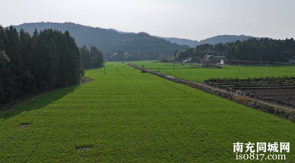 南充市扎实推进“九县百片”建设 奋力打造“天府粮仓”丘区样板-5.jpg