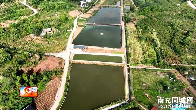 筑牢水利建设根基 补齐水利资源短板-8.jpg