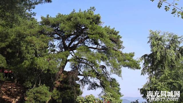 仙境胜地营山太蓬山：古迹神奇 风景秀丽-11.jpg