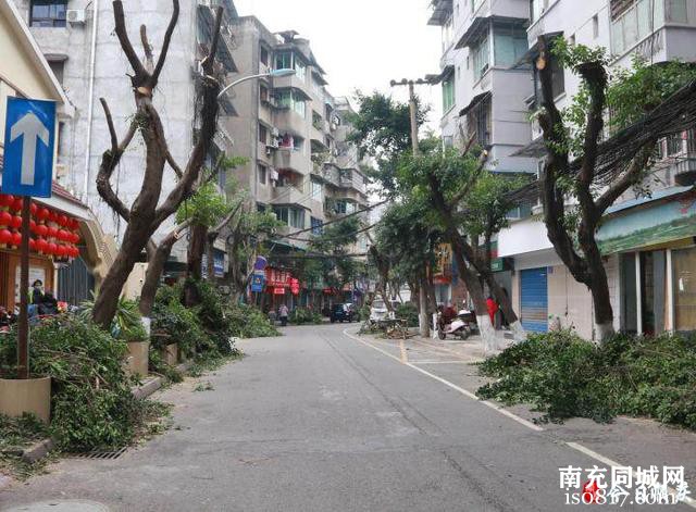 剪除烦恼惠民生 服务市民显初心-2.jpg