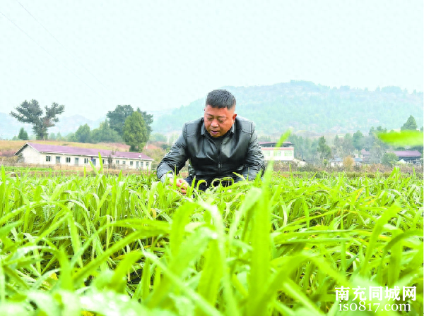 退伍军人包祥与南充市嘉陵区5000余亩土地“结缘”-1.jpg