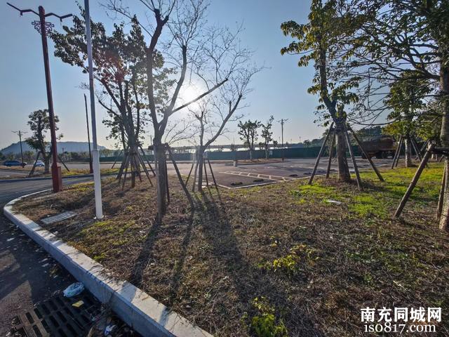 蓬安县锦屏镇上林园旁边道路上，乱停着好多车辆-9.jpg