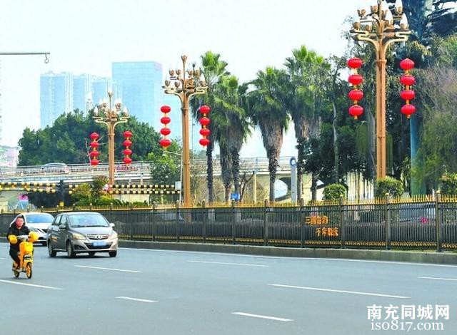 防止行人横穿 滨江中路设隔离栏-1.jpg