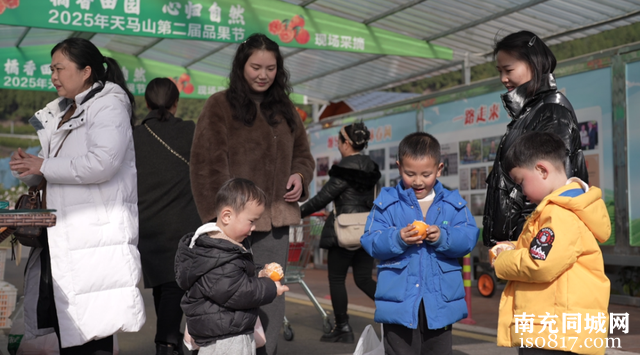 四川南充西充：柑橘喜丰收 游客采摘忙-2.jpg