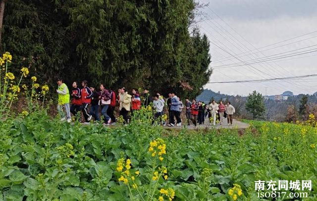 没有标准跑道也要锻炼两小时！四川阆中一乡村学校搞起“田野拉练”-1.jpg