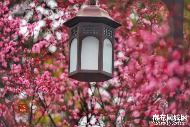 南充的这片“花花世界”，竟然藏在主城区~-2.jpg