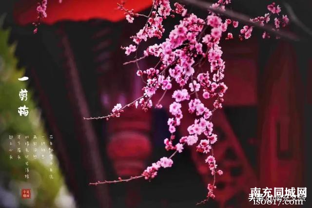 南充的这片“花花世界”，竟然藏在主城区~-11.jpg