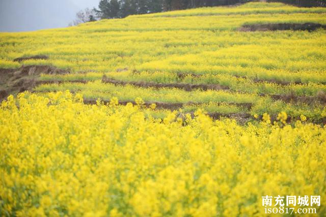 南充：周末天气怎么样？这里有答案...-6.jpg