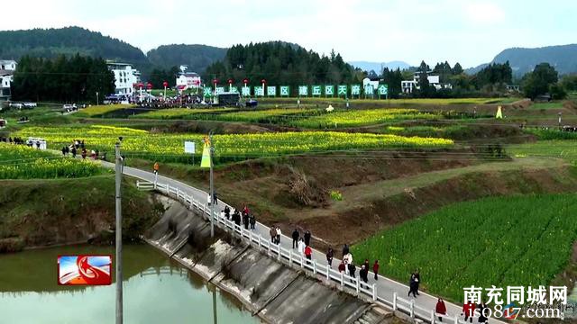 全域联动 点亮乡村振兴新引擎-7.jpg