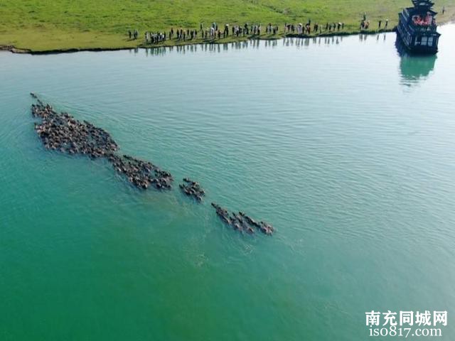 蜀里清凉·夏日旅行记 | 相约相如故里，四川蓬安5条旅行线路等你查收-2.jpg