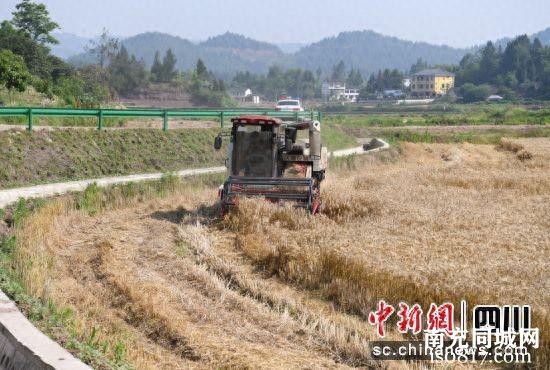 营山：“秸”尽所能 走出变废为宝“逆袭”路-1.jpg