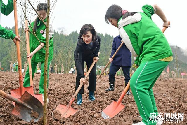 义务植树造林 共建美丽仪陇-2.jpg