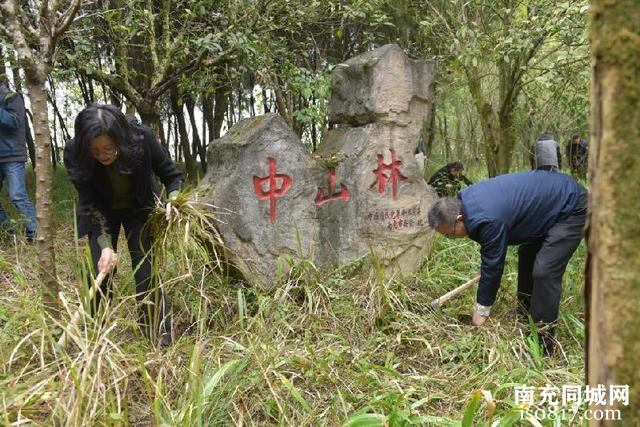 「南充」植绿缅怀先驱志 碧水青山映初心-4.jpg