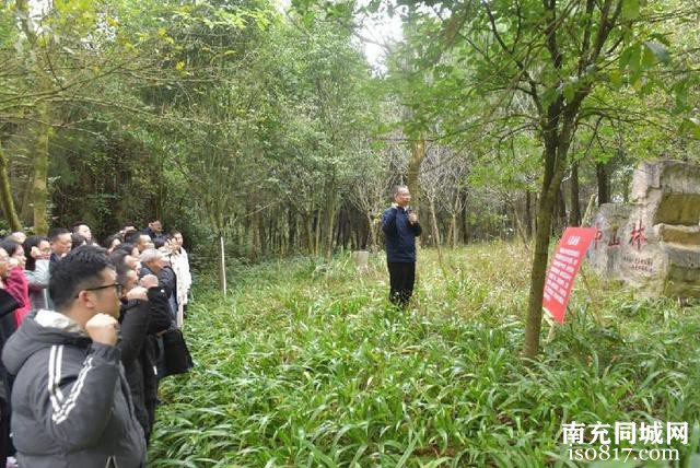 「南充」植绿缅怀先驱志 碧水青山映初心-3.jpg