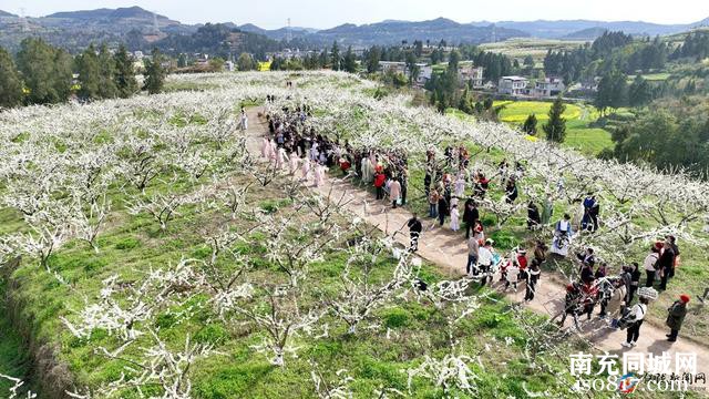 仪陇：农旅融合勾勒乡村振兴多彩路径-3.jpg