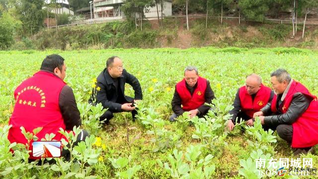 人大代表助力春耕生产 推动丘区农业样板县建设-3.jpg