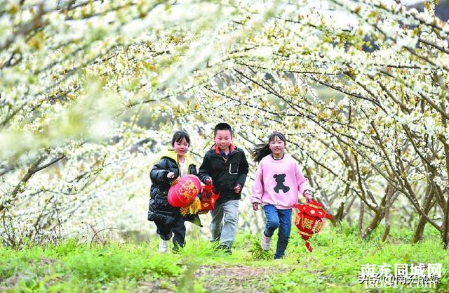 一城春色关不住 万朵芳菲入画来 南充春日美 节令看花事-2.jpg